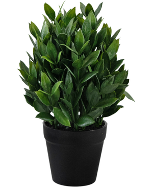 Künstliche Pflanze Pumila 23 cm