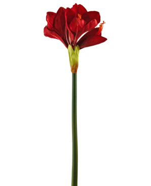 Künstliche Blume Amaryllis rot 66 cm
