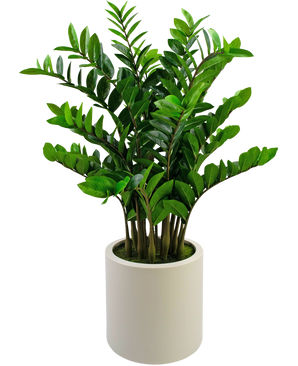 Künstliche Pflanze Zamioculcas fertig in beige Topf 120 cm