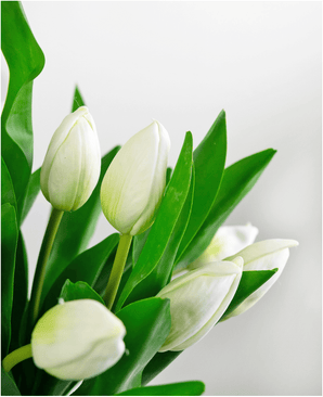 Künstlicher Blumenstrauß Tulpen in Vase Weiß 45 cm