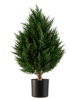 Die Kunstpflanze Conifer Deluxe UV 60 cm von Easyplants ist eine kompakte, buschige Kunstpflanze mit immergrünem Blattwerk und sattgrünem Blattwerk, präsentiert in einem schwarzen Topf vor weißem Hintergrund. Dies macht sie zu einer hervorragenden Wahl unter den künstlichen Pflanzen für den Außenbereich und sorgt mühelos für lebendiges Grün in jeder Umgebung.