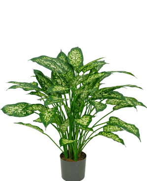 Een kunstplant Dieffenbachia van 75 cm met weelderige groene bladeren, versierd met lichtgeelgroene aftekeningen, afgebeeld tegen een effen witte achtergrond.