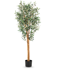Künstlicher Olivenbaum 160 cm UV
