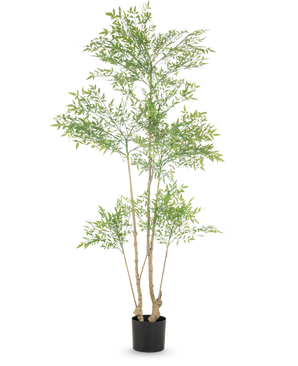 De Kunstplant Ruscus 180 cm is een hoge kunstplant met meerdere slanke stammen en overvloedige kleine groene bladeren, weergegeven in een eenvoudige zwarte pot tegen een witte achtergrond.
