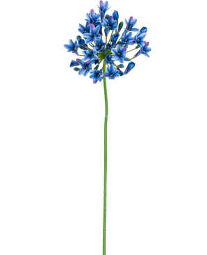 De Kunstbloem Agapanthus 77 cm blauw heeft één lange groene steel met daarop een tros levendige blauwe en paarse bloemen tegen een effen witte achtergrond.