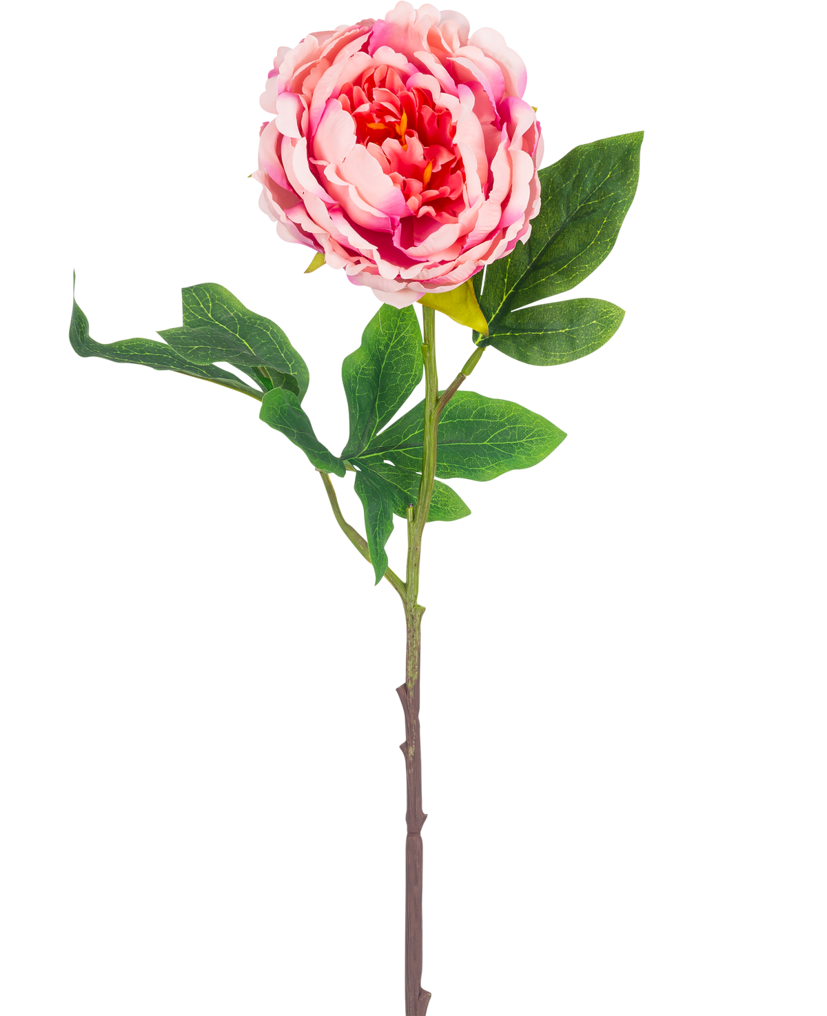 Die künstliche Pfingstrose 61 cm rosa besteht aus einer einzelnen rosa Pfingstrose mit üppig grünen Blättern und einem langen braunen Stiel, isoliert auf einem weißen Hintergrund.