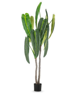 Künstliche Pflanze Anthurium 210 cm