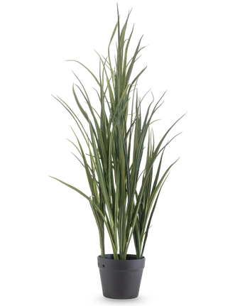 De Kunstgras Groen UV 90cm is een hoge kunstplant met lange, slanke groene bladeren die rechtop staan in een donkergrijze pot op een effen witte achtergrond.