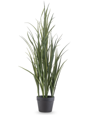 De Kunstgras Groen UV 90cm is een hoge kunstplant met lange, slanke groene bladeren die rechtop staan in een donkergrijze pot op een effen witte achtergrond.