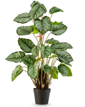 De Kunstplant Appelblad 90 cm is een potplant met grote, ovale groene bladeren die worden geaccentueerd door lichtgroene en witte strepen, tegen een effen witte achtergrond.