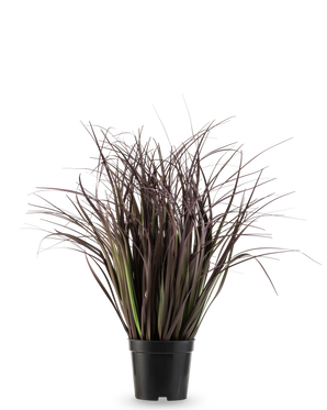 De Kunst Grasplant Wild Lawn 50 cm brandvertragend heeft hoge, smalle, donkerpaarse bladeren in een zwarte pot tegen een witte achtergrond-een stijlvolle kunstplant ideaal voor moderne interieurs.