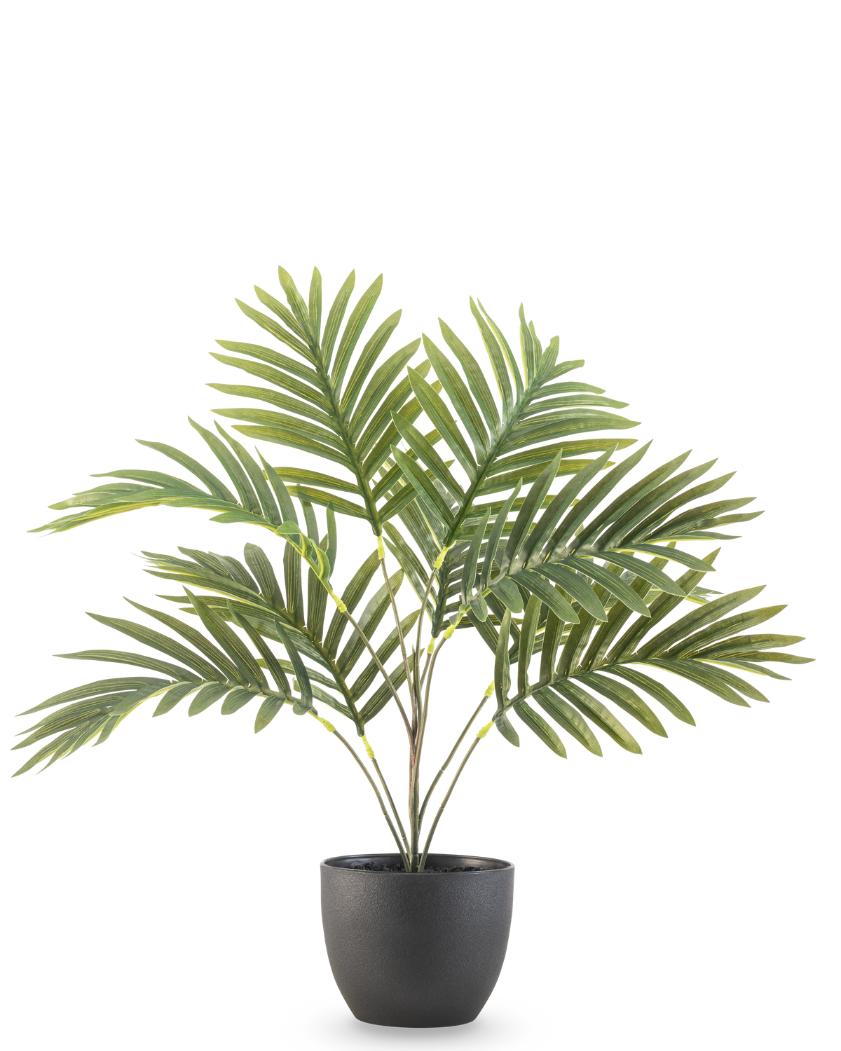 Die künstliche Palme Phönix 50 cm hat lange grüne, gebogene Blätter in einem runden schwarzen Ziertopf vor einem schlichten weißen Hintergrund.