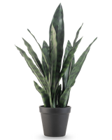 De Kunstplant Sansevieria Zeylanica 44 cm heeft lange, rechtopstaande groene bladeren met bonte patronen, gepresenteerd in een eenvoudige zwarte pot tegen een effen witte achtergrond.