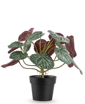 Die Kunstpflanze Saxifraga 27 cm hat grüne Blätter mit weißen Adern und rotvioletten Unterseiten, präsentiert in einem schlichten schwarzen Topf vor einem schlichten weißen Hintergrund.