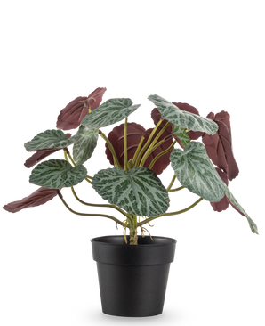 De Kunstplant Saxifraga 27 cm heeft groene bladeren met witte nerven en roodpaarse onderkanten, gepresenteerd in een eenvoudige zwarte pot tegen een effen witte achtergrond.