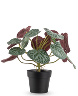 De Kunstplant Saxifraga 27 cm heeft groene bladeren met witte nerven en roodpaarse onderkanten, gepresenteerd in een eenvoudige zwarte pot tegen een effen witte achtergrond.