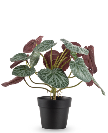 De Kunstplant Saxifraga 27 cm heeft groene bladeren met witte nerven en roodpaarse onderkanten, gepresenteerd in een eenvoudige zwarte pot tegen een effen witte achtergrond.