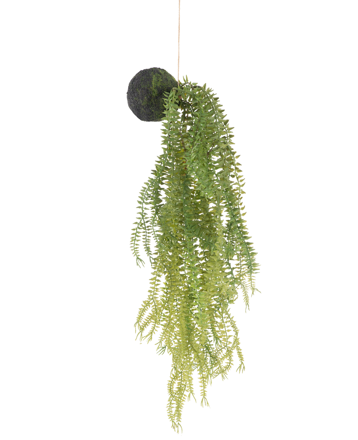 Die künstliche Hängepflanze Phlegmariurus Kugel 50 cm hat grüne Farnblätter auf einem moosbedeckten runden Sockel, der an einer Schnur vor einem weißen Hintergrund aufgehängt ist.