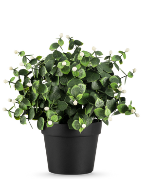De Kunstplant Eucalyptus wit in pot UV 22 cm heeft dichte groene bladeren en kleine witte knoppen in een eenvoudige zwarte pot, perfect om elke ruimte op te fleuren.