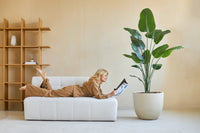 Künstliche Pflanze Strelitzia 180 cm real touch