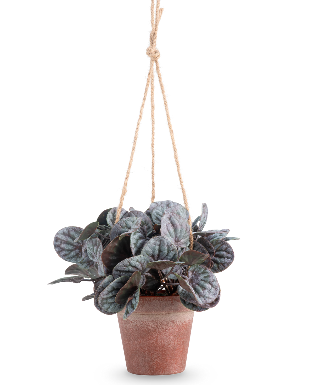 Das künstliche Rugose-Blatt (18 cm) ist eine künstliche Pflanze mit runden, grünen Blättern in einem rustikalen grauen Hängetopf, aufgehängt an einem hellbraunen Seilaufhänger, vor einem schlichten weißen Hintergrund.