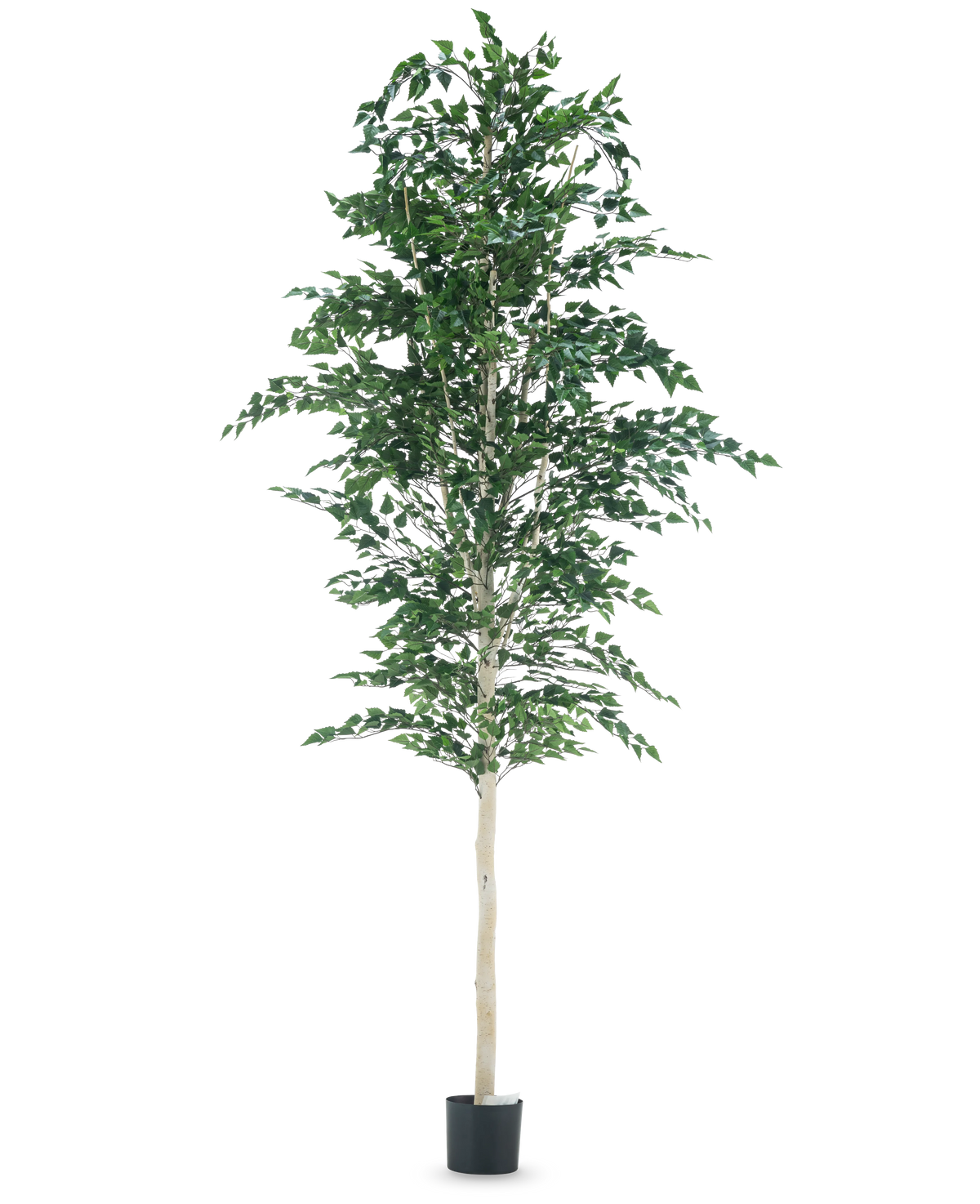 Der künstliche Berke-Baum 300 cm ist ein Baum mit Blättern darauf.
