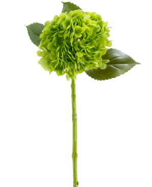 De Kunstbloem Charlotte Hortensia Real Touch donker groen 55 cm heeft een levensechte groene hortensia met een ronde tros kleine bloemblaadjes, lange steel en drie groene bladeren, afgebeeld tegen een witte achtergrond.