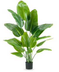 Kunstpflanze Strelitzia Real Touch Deluxe 150 cm