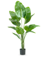 De Kunstplant Strelitzia 150 cm real touch heeft brede, glanzend groene bladeren en een levensechte paradijsvogel look, weergegeven in een pot tegen een effen witte achtergrond.