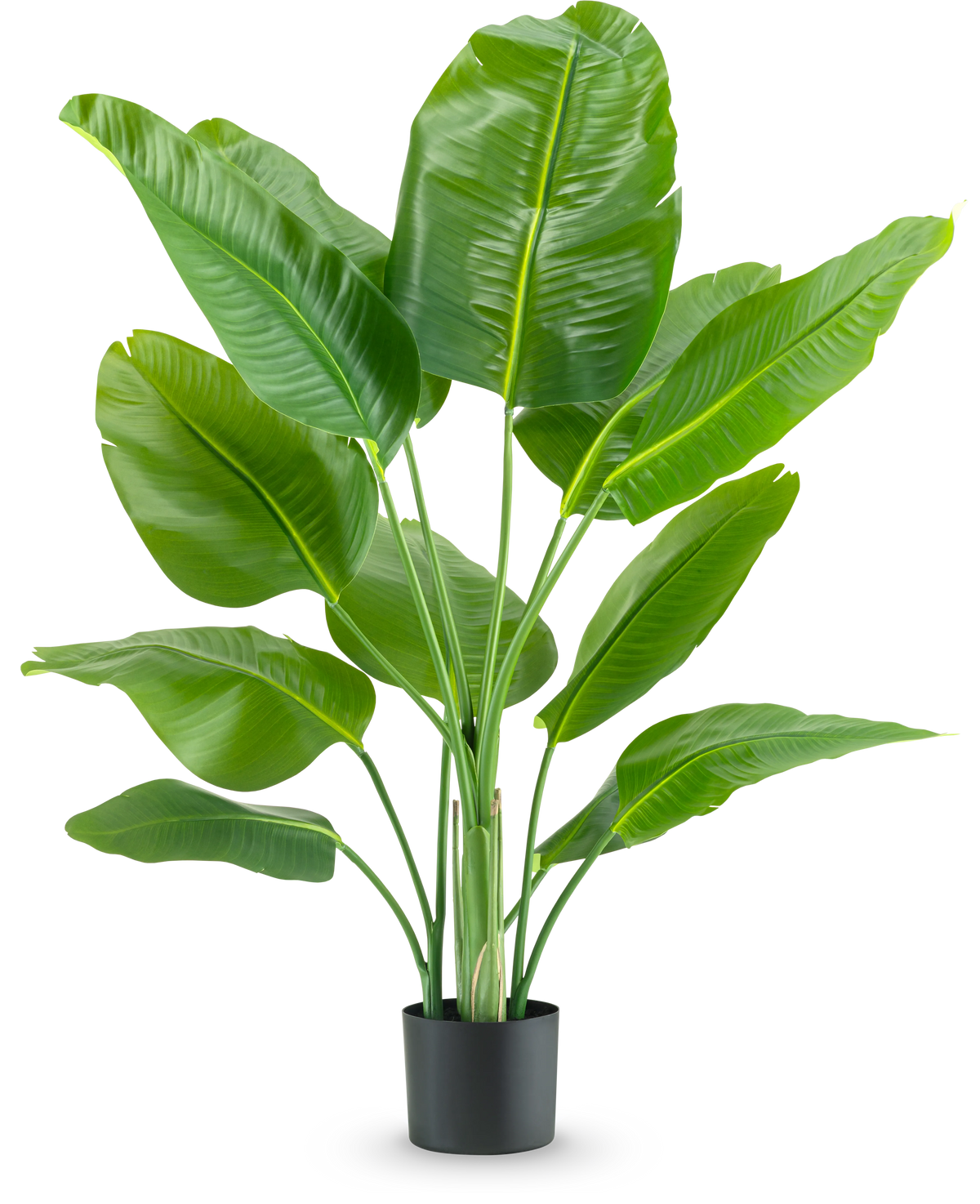 Kunstpflanze Strelitzia Real Touch Deluxe 120 cm
