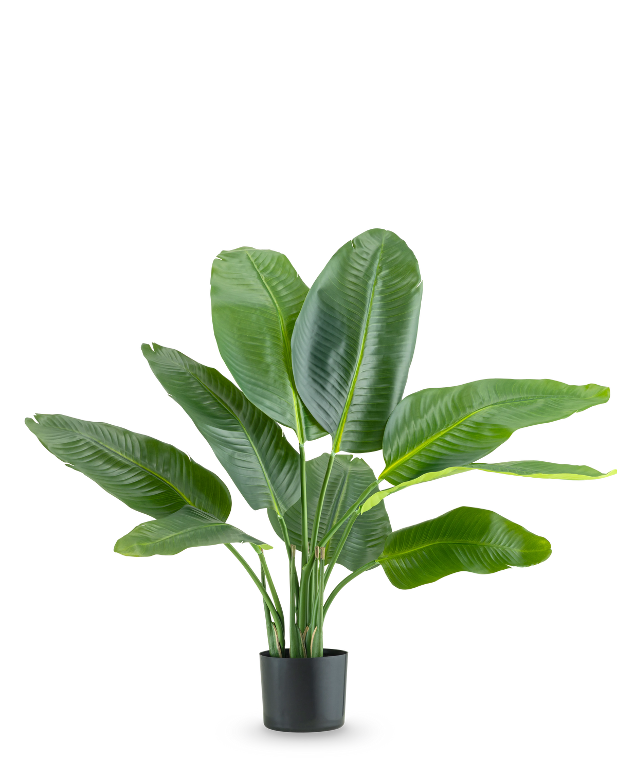 Kunstpflanze Strelitzia Real Touch Deluxe 90 cm