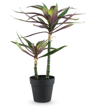 Een Kunstplant Yucca gigantea 53 cm met twee lange, slanke groene stelen met daarop puntige groene en paarse bladeren in een zwarte pot, tegen een witte achtergrond.