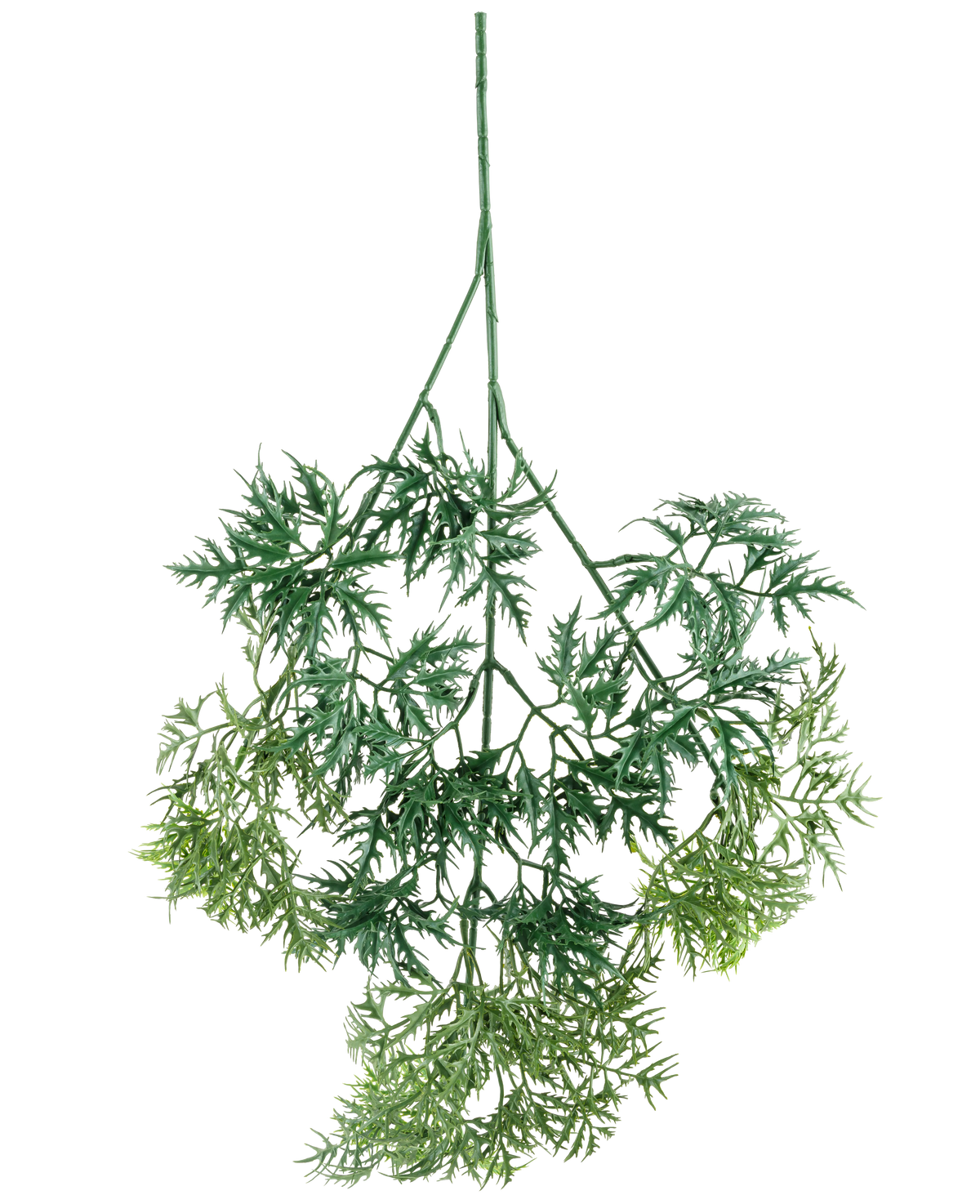Der Kunsttak Ming Aralia Spray 72 cm hat grüne, federleichte Kunstblätter mit feinen, nadelartigen Rändern in verschiedenen Grüntönen, die kopfüber vor einem weißen Hintergrund hängen.