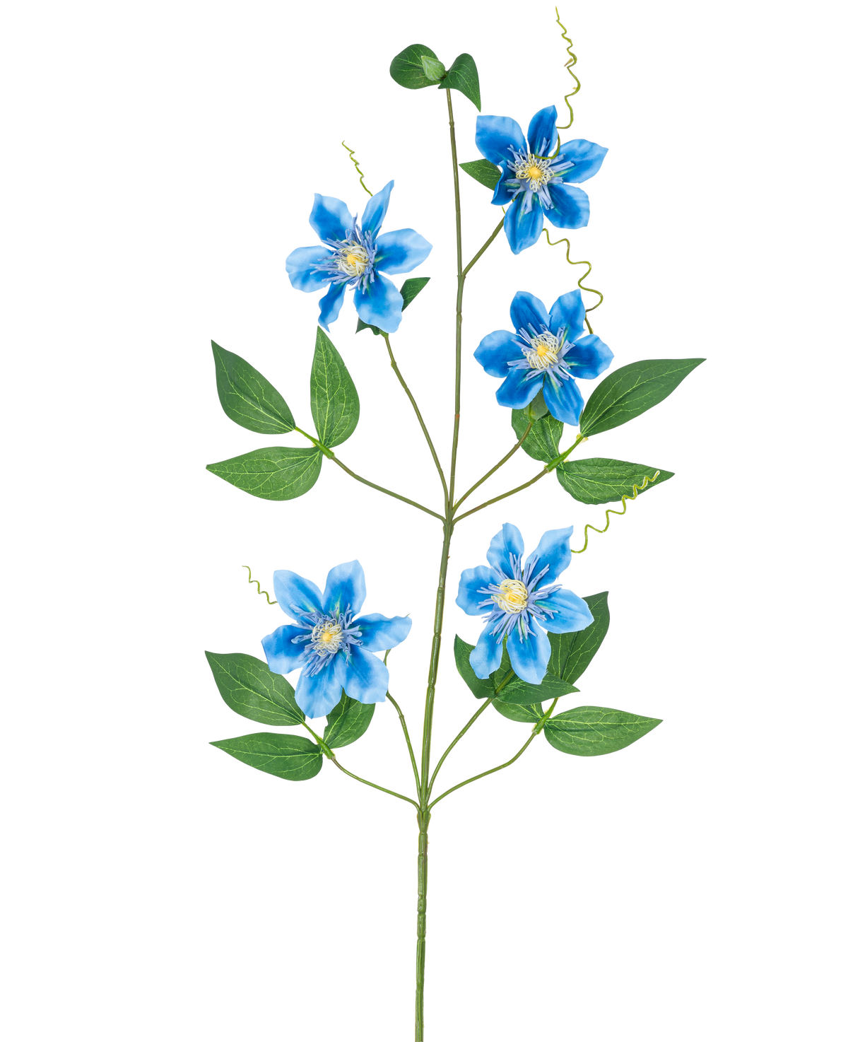 Die künstliche Blume Clematis gefüllt 82 cm blau hat einen einzelnen Rankenstiel mit fünf leuchtend blauen Blüten und mehreren grünen Blättern, die wunderschön vor einem schlichten weißen Hintergrund zur Geltung kommen.