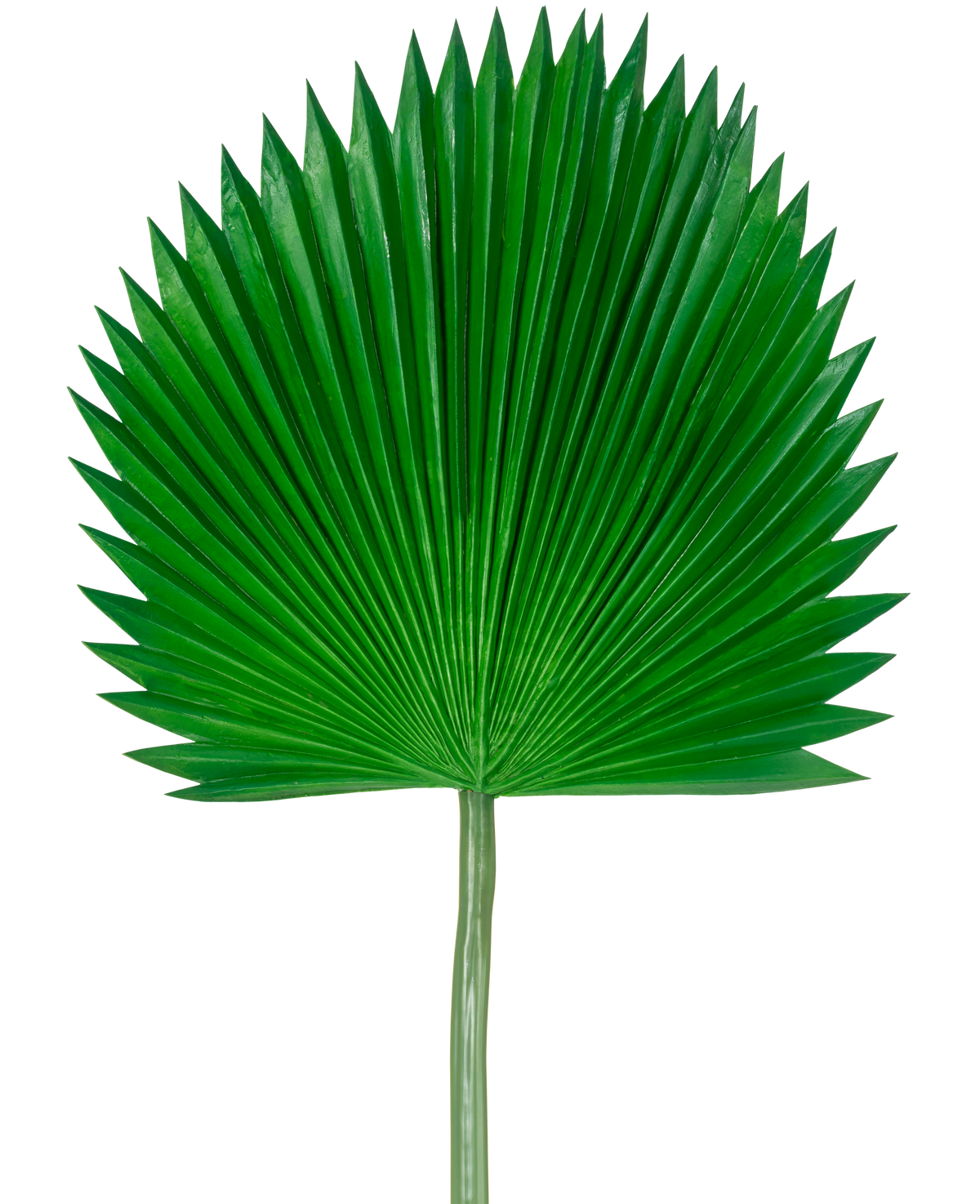 Das künstliche Blatt Washingtonia 105 cm ist ein einzelnes grünes Palmenblatt mit Fächerform und spitzen Enden vor einem schlichten weißen Hintergrund.