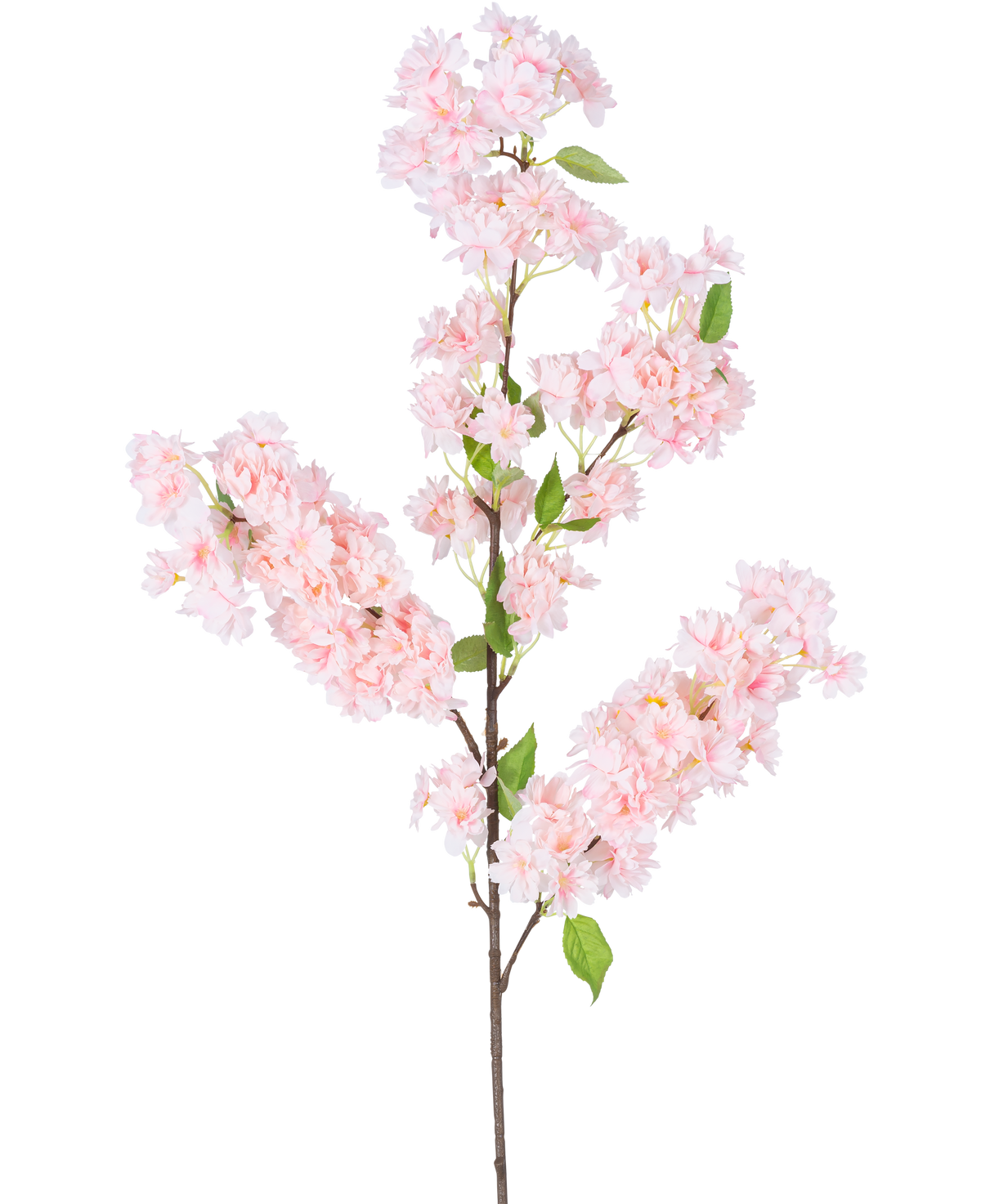 Die künstliche Kirschblüte 100 cm rosa hat einen langen braunen Stiel, Büschel hellrosa Kirschblüten und grüne Blätter vor einem weißen Hintergrund.