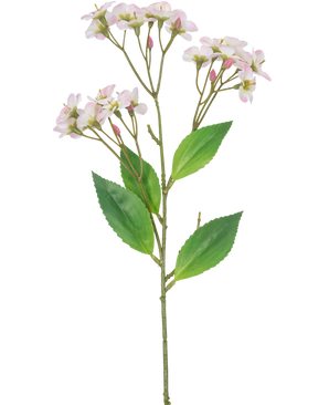 Een Kunstbloem Orchidee Real Touch Roze van 50 cm met meerdere trossen lichtroze bloemen en groene bladeren, geïsoleerd op een witte achtergrond.