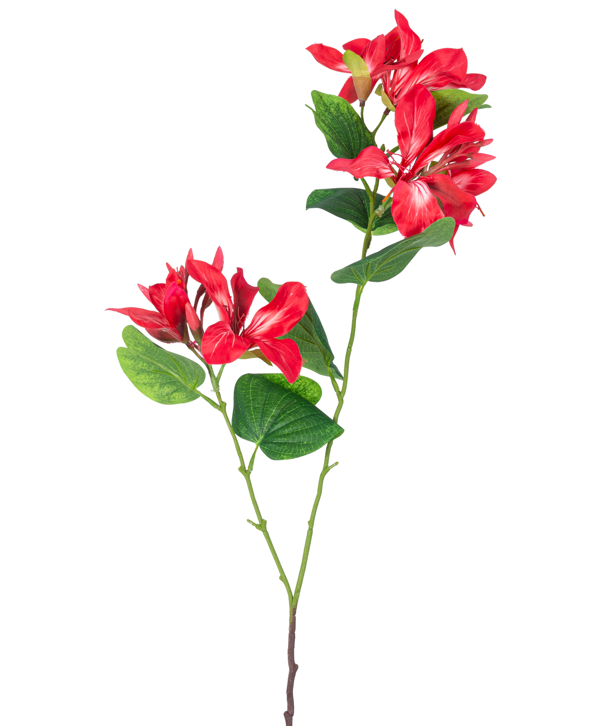 Die Kunstblume Rhododendron 85 cm hellrot ist ein künstlicher Stiel mit grünen Blättern und zwei Büscheln hellroter und weißer Blüten auf weißem Hintergrund.