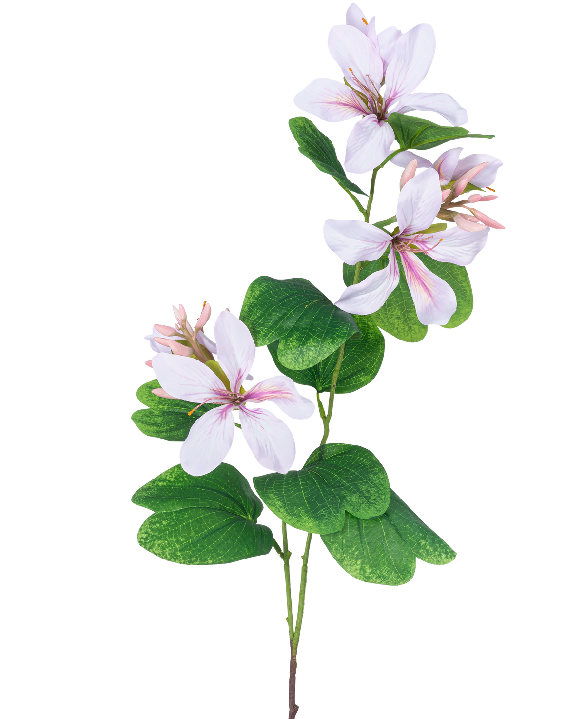 Die Kunstblume Rhododendron 85 cm hellrosa hat einen schlanken grünen Stiel mit Büscheln großer, weißer Blüten mit hellrosa Herzen und Adern, akzentuiert durch breite grüne Blätter, vor einem weißen Hintergrund.