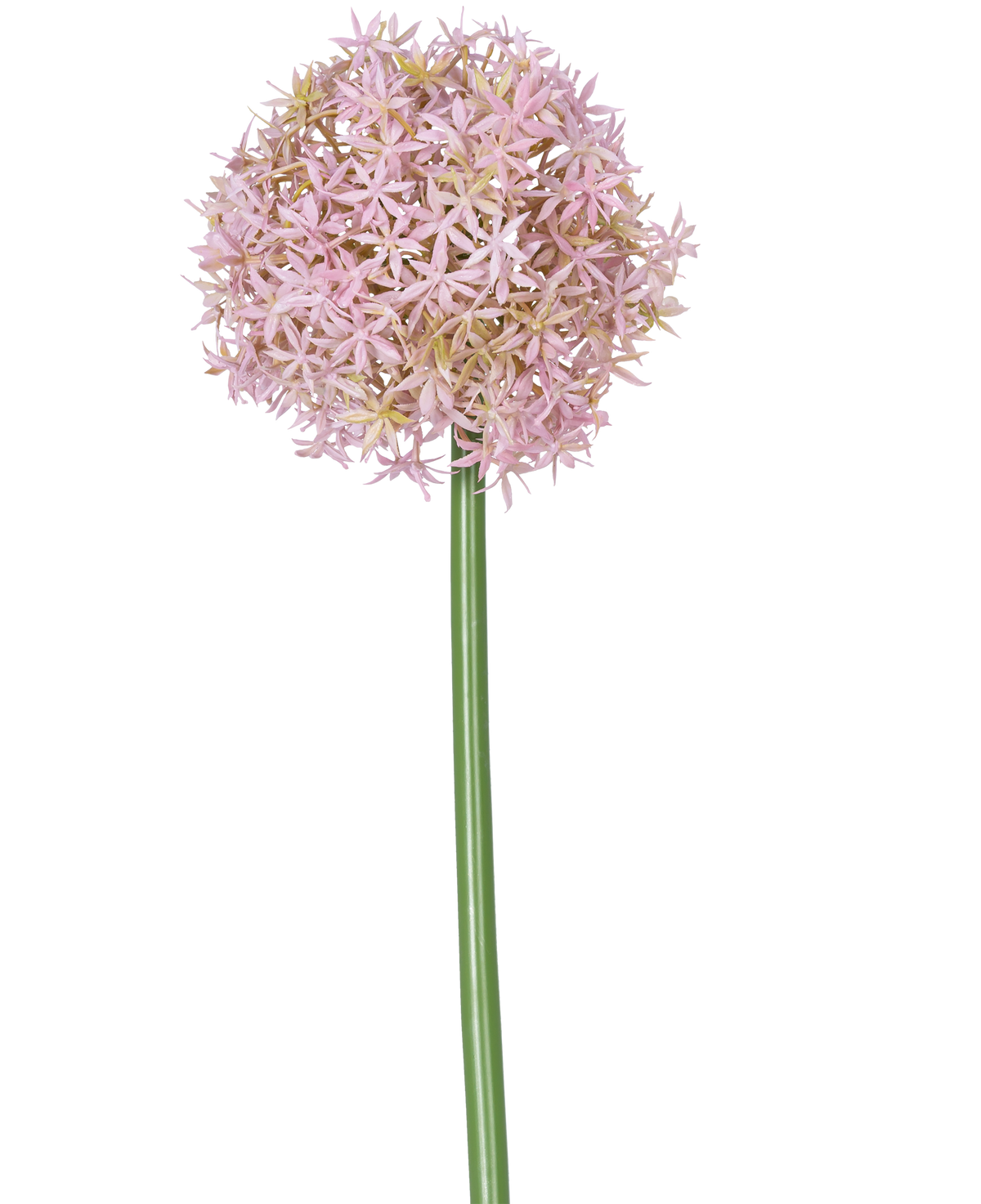 Ein einzelner hoher violetter Stiel der künstlichen Blume Allium Large 80 cm, der eine große, runde Gruppe kleiner sternförmiger Blüten trägt, abgebildet auf einem weißen Hintergrund.