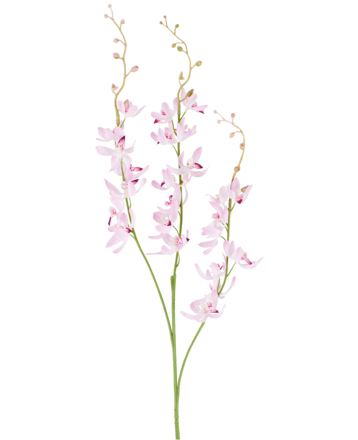 Zwei grüne Stängel mit verzweigten Büscheln aus zarten, hellvioletten Cymbidium-Orchideenblüten und kleinen Knospen auf dünnen, gebogenen Zweigen, abgebildet vor einem schlichten weißen Hintergrund. Bei dem abgebildeten Produkt handelt es sich um die Kunstblume Cymbidium 95 cm lila.
