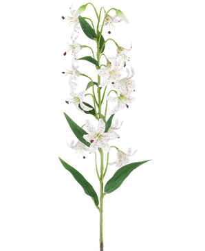 Ein langer grüner Stiel mit mehreren cremefarbenen und braunen künstlichen Lilien, jeweils mit länglichen grünen Blättern, präsentiert vor einem weißen Hintergrund – Künstliche Blumenlilie 82 cm creme/braun.