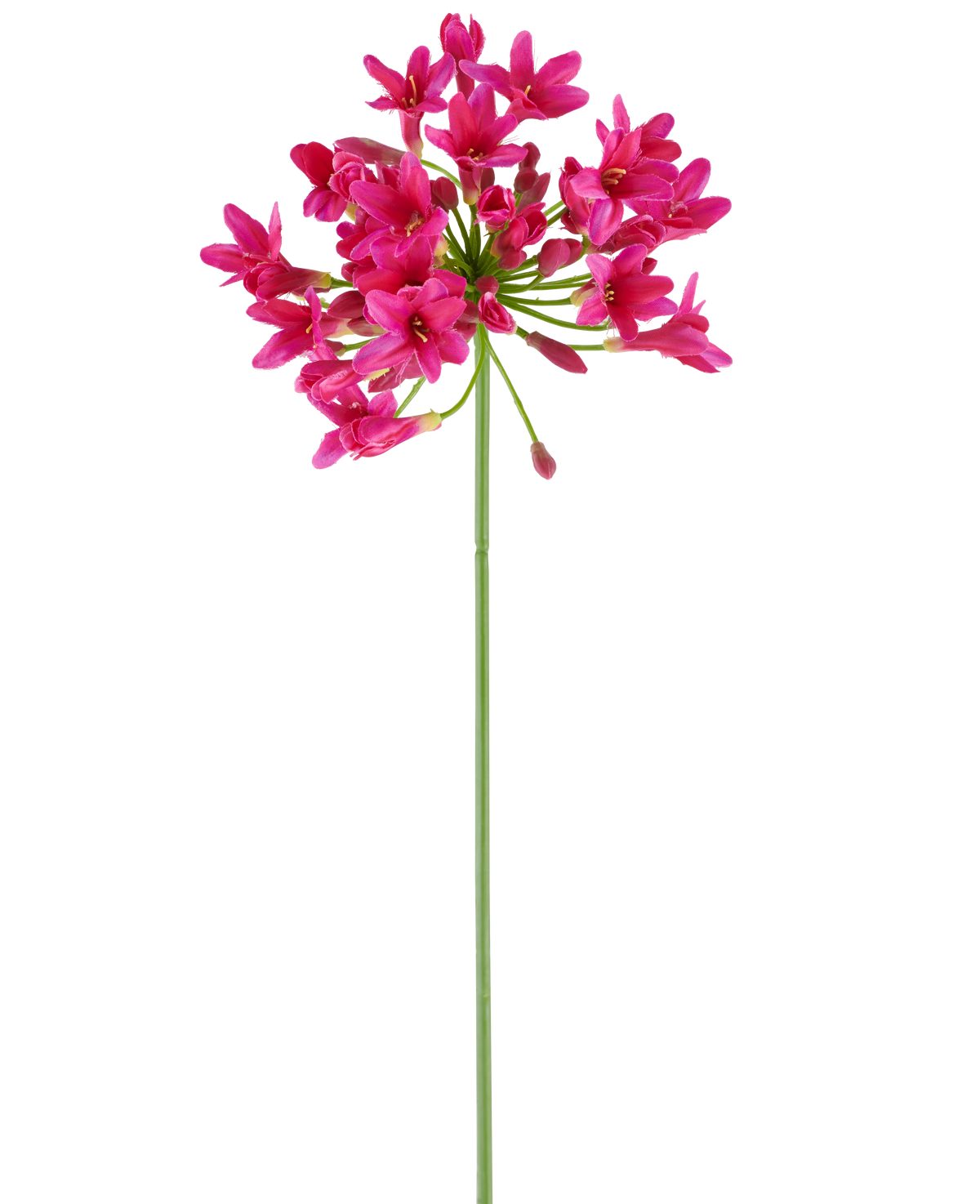 Ein einzelner langer grüner Stiel der künstlichen Blume Agapanthus 75 fuchsia trägt an der Spitze eine Gruppe leuchtend rosa Blüten, die sich von einem schlichten weißen Hintergrund abheben.