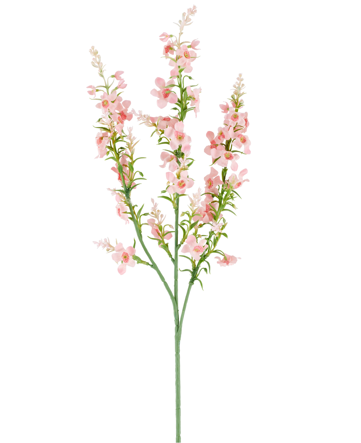 Ein einzelner grüner Stiel mit mehreren Zweigen trägt Büschel kleiner, zarter, blassrosa Kunstblumen-Katzenminze, 75 cm, rosa Blüten und grüne Blätter, abgebildet vor einem schlichten weißen Hintergrund.