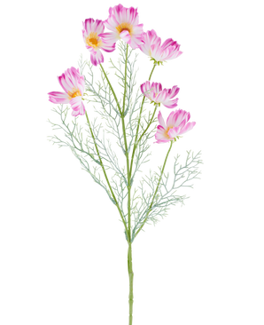 Ein 78 cm großer künstlicher Kosmos in Creme/Rosa mit mehreren hellrosa und weißen Kosmosblüten und federleichten grünen Blättern, dargestellt vor einem schlichten weißen Hintergrund.