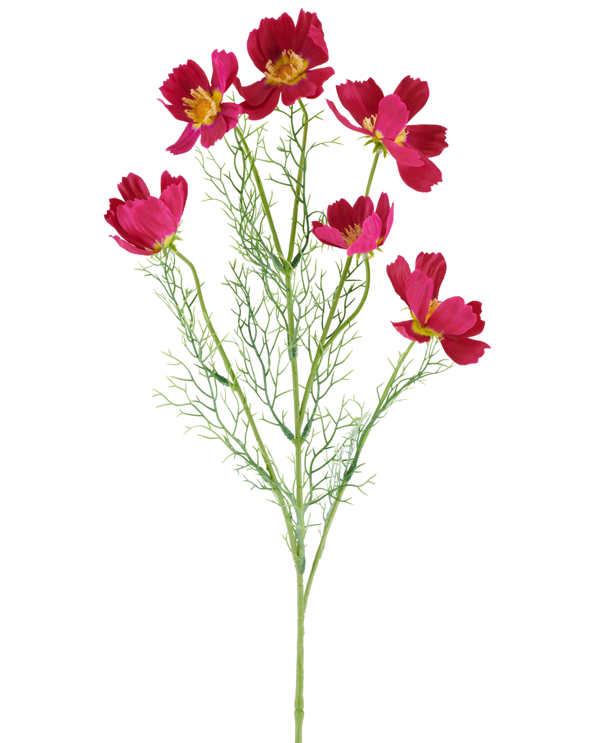 Die künstliche Blume Cosmo 78 cm Fuchsia besteht aus leuchtend fuchsiafarbenen Kosmosblüten mit gelber Mitte und zarten, federleichten grünen Blättern vor einem weißen Hintergrund.