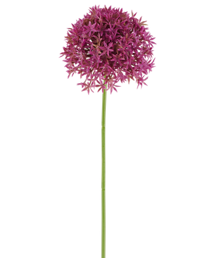 Ein einzelner langer Stiel der Kunstblume Löwenzahn 63 cm Fuchsia trägt eine runde Gruppe kleiner, sternförmiger Fuchsienblüten vor einem weißen Hintergrund.