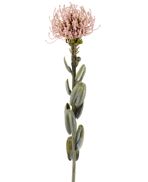 Ein einzelner Stiel der künstlichen Blume Protea 61 cm malvenfarben, mit ovalen grünen Blättern und einer runden, stacheligen hell malvenrosa Blüte an der Spitze, abgebildet vor einem schlichten weißen Hintergrund.
