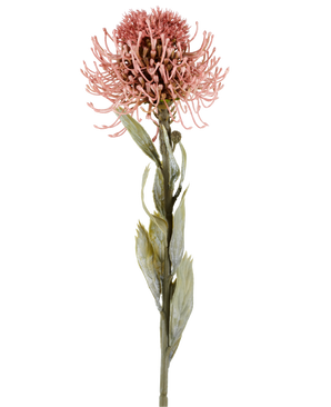 Kunstblume Protea 60 cm altrosa mit spitzen rosa Blütenblättern und grünen Blättern an einem langen Stiel, dargestellt vor einem schlichten weißen Hintergrund.