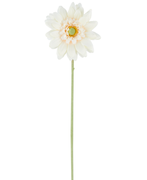 Die künstliche Blume Mini Gerbera 47 cm creme ist eine einzelne künstliche Blume in einem cremeweißen Farbton mit geschichteten Blütenblättern und einem grünen Herzen, die an einem langen, geraden grünen Stiel befestigt ist und vor einem schlichten weißen Hintergrund präsentiert wird.